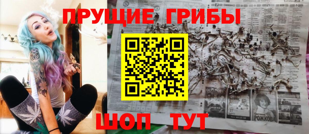 Псилоцибиновые грибы Magic Shrooms  Вход с VPN  Тавда  Галлюциногенные грибы мицелий 